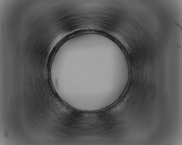 X0000092210927200710121126