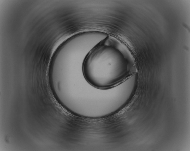 X0000092210928200710121126