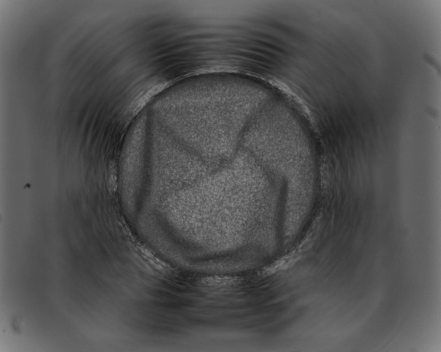 X0000092210929200710121126