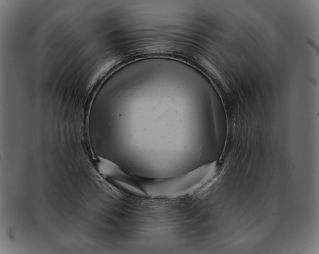 X0000092210930200710121126