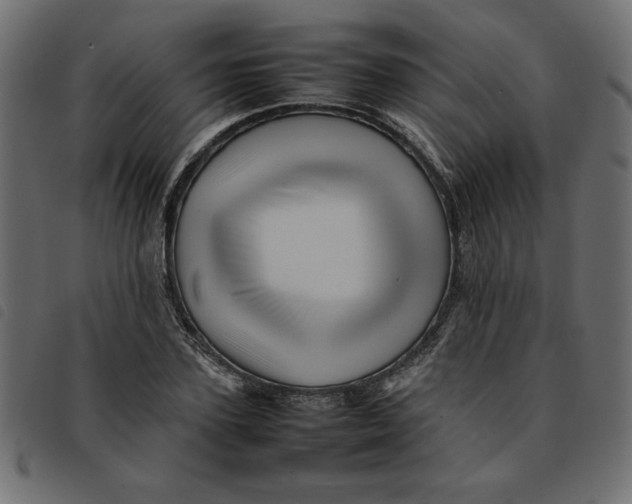 X0000092210931200710121126