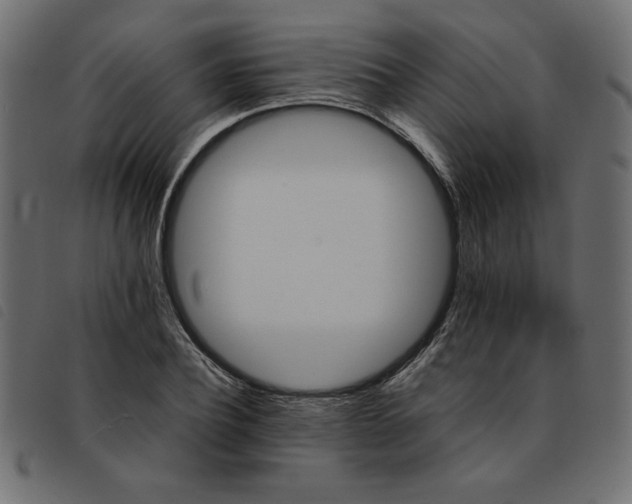 X0000092210932200710121126