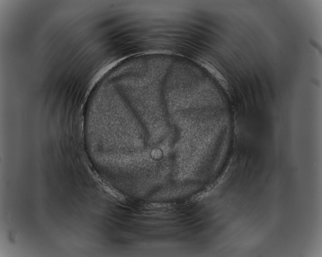 X0000092210933200710121126