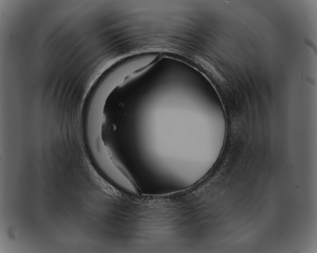 X0000092210934200710121126