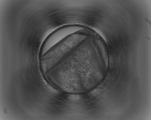 X0000092210935200710121126
