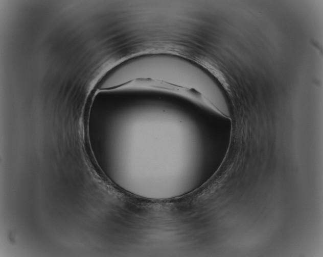 X0000092210936200710121126