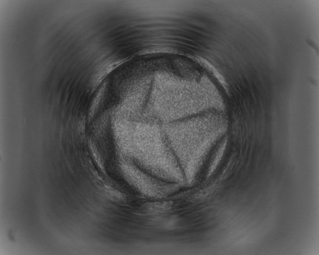 X0000092210937200710121126
