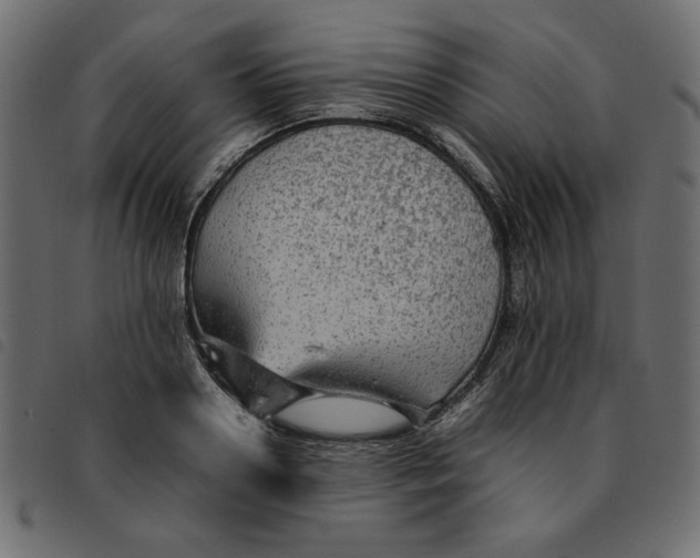 X0000092210938200710121126