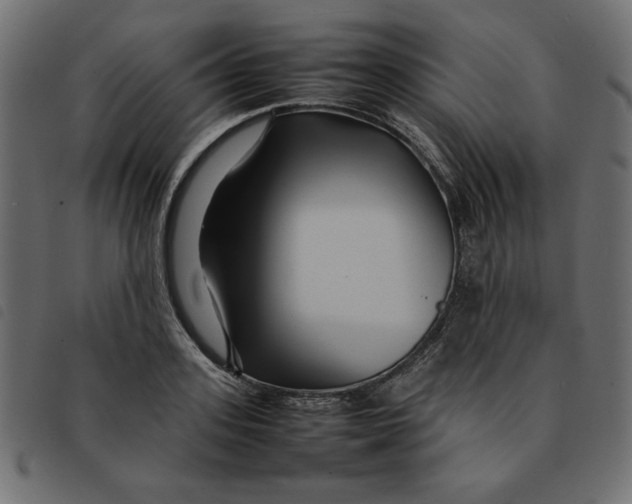 X0000092210939200710121126