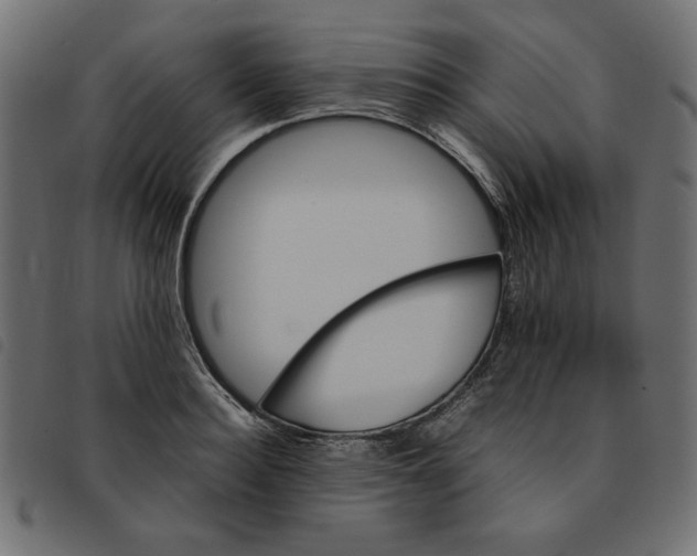 X0000092210940200710121126