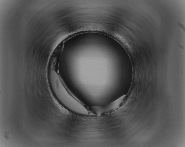 X0000092210942200710121126