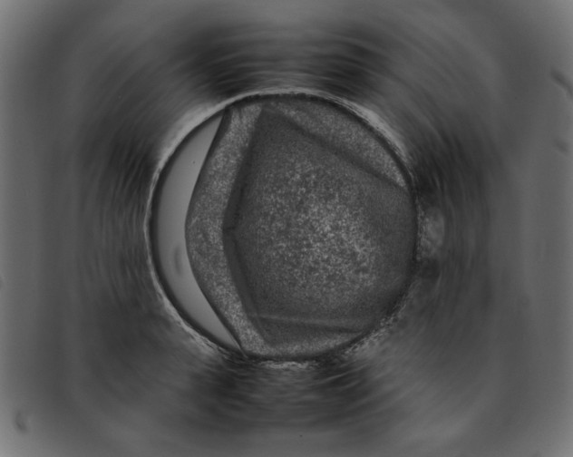 X0000092210943200710121126