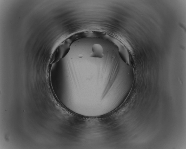 X0000092210944200710121126
