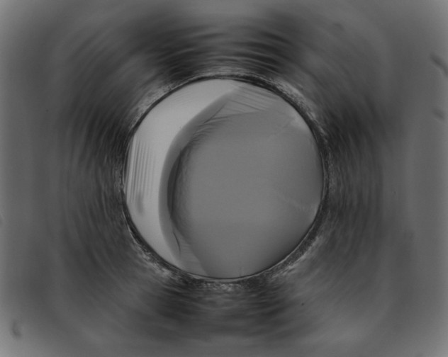 X0000092210945200710121126