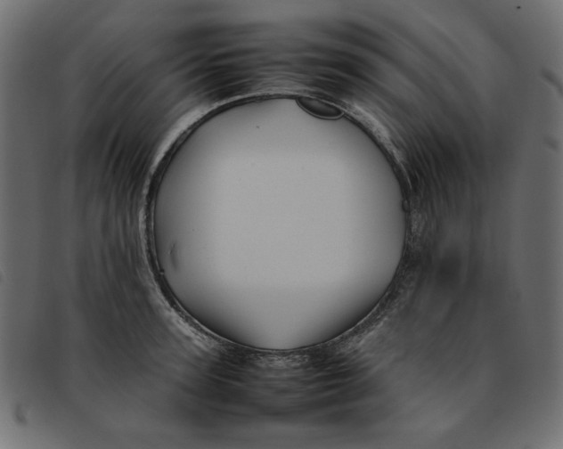 X0000092210947200710121126