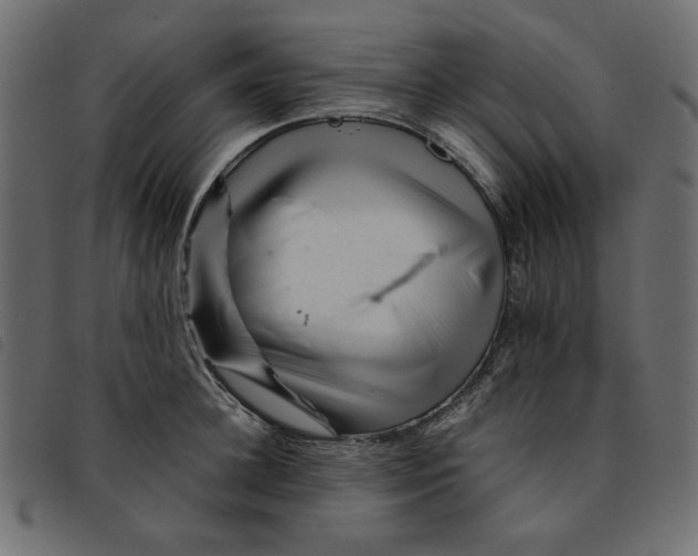 X0000092210948200710121126