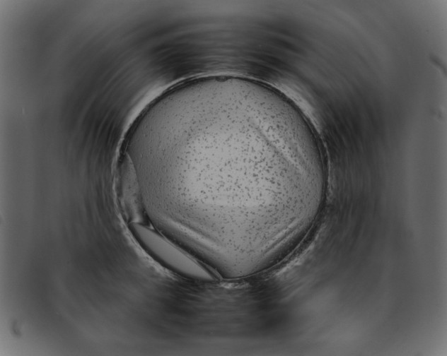 X0000092210949200710121126