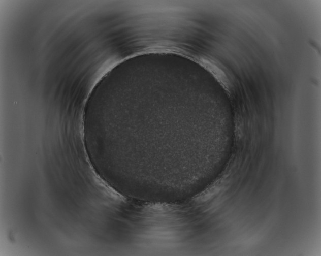 X0000092210950200710121126