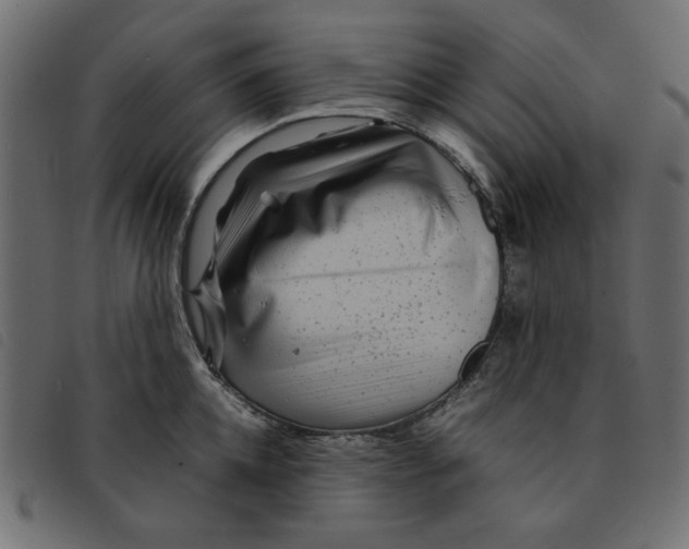 X0000092210952200710121126