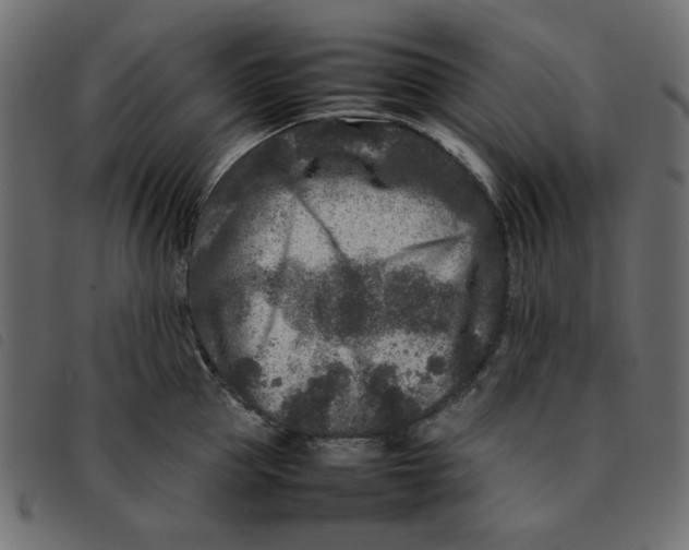 X0000092210953200710121126