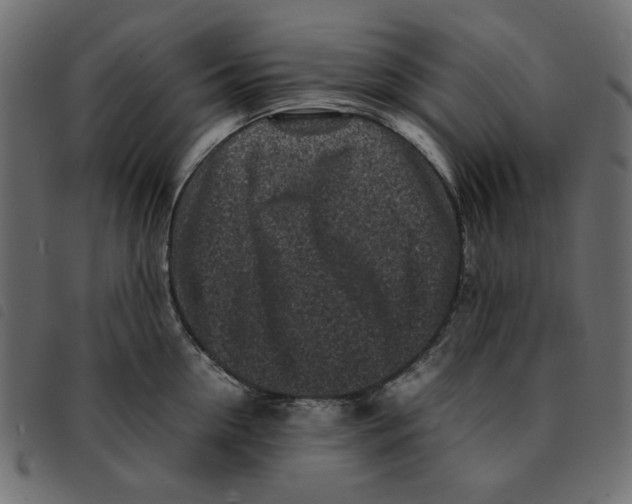 X0000092210954200710121126