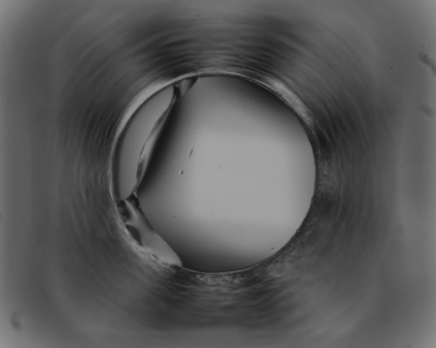 X0000092210955200710121126