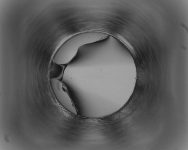 X0000092210956200710121126