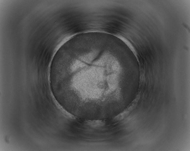 X0000092210957200710121126