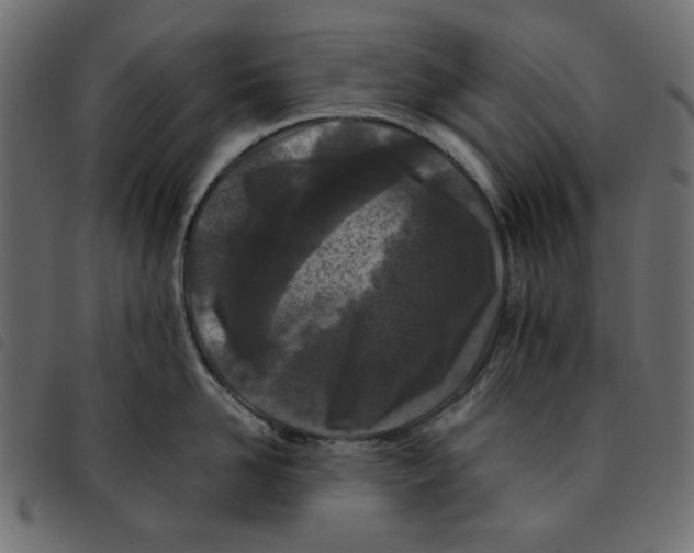 X0000092210958200710121126