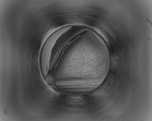 X0000092210959200710121126