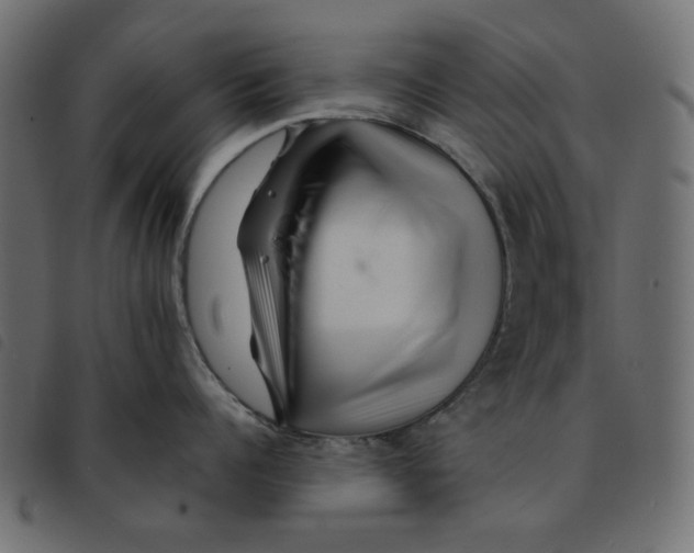 X0000092210960200710121126