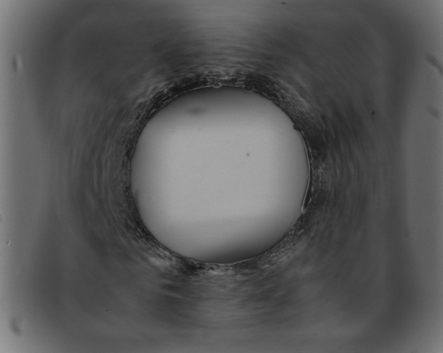 X0000092210961200710121125