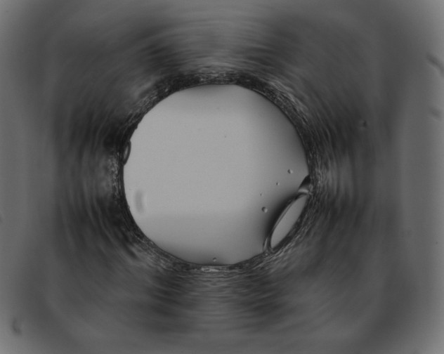 X0000092210964200710121125