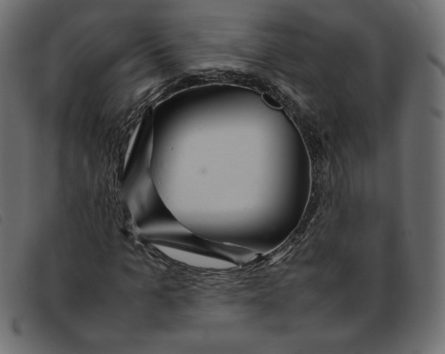 X0000092210965200710121125