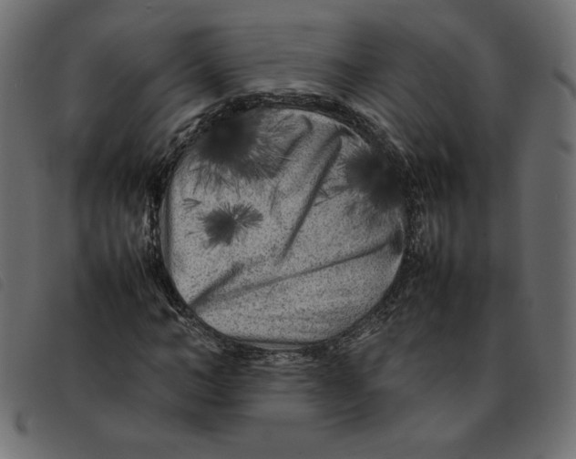 X0000092210966200710121125