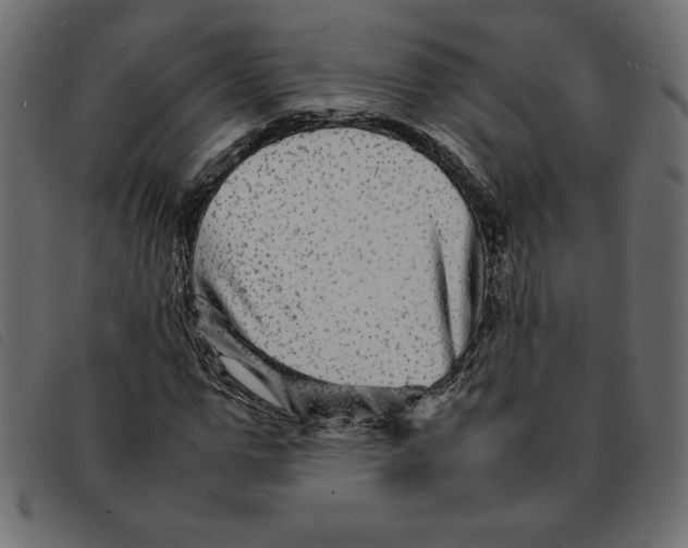 X0000092210967200710121125