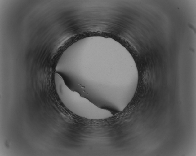 X0000092210968200710121125