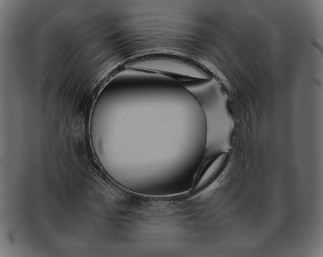 X0000092210969200710121125