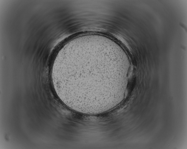 X0000092210971200710121125