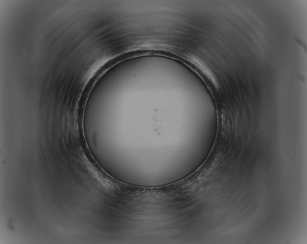 X0000092210972200710121125
