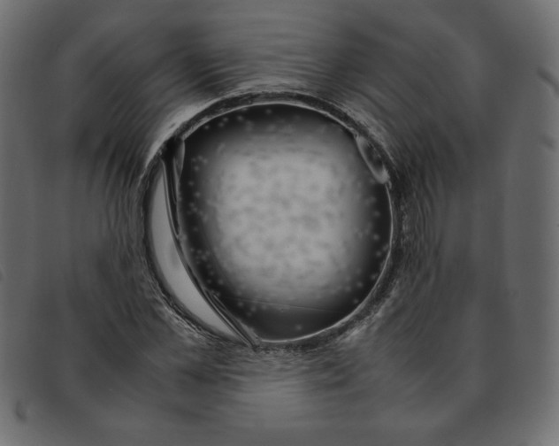 X0000092210973200710121125
