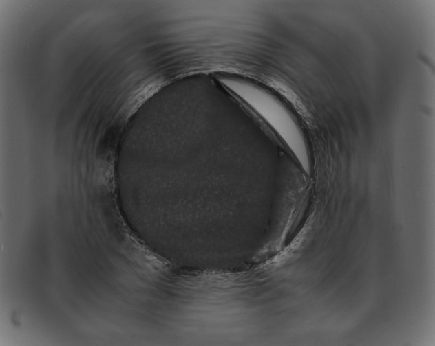 X0000092210977200710121125