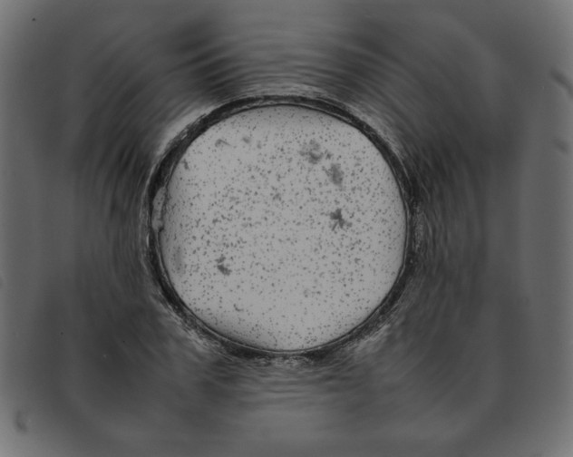 X0000092210979200710121125