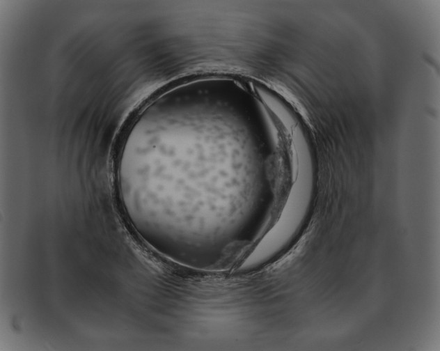 X0000092210981200710121125