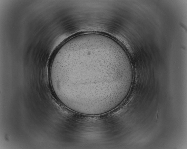 X0000092210982200710121125