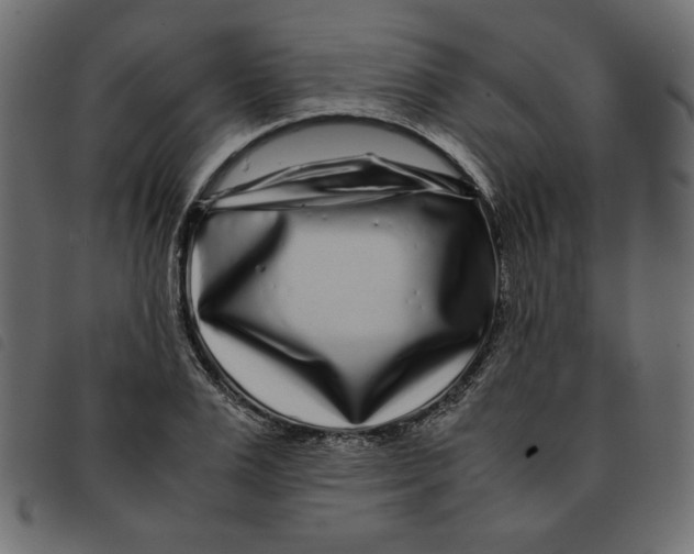 X0000092210983200710121125