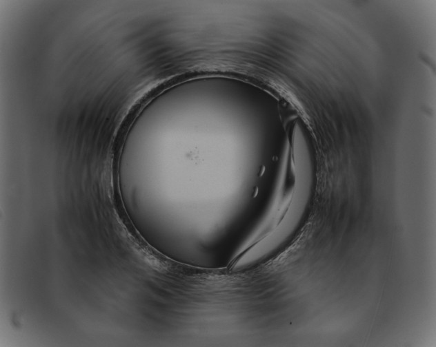 X0000092210984200710121125