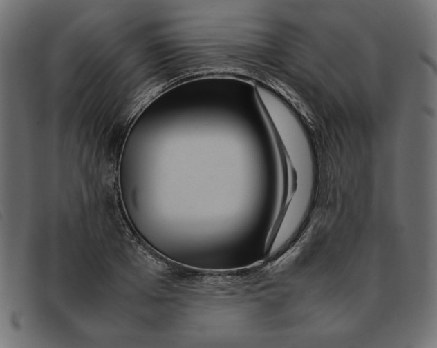 X0000092210985200710121125