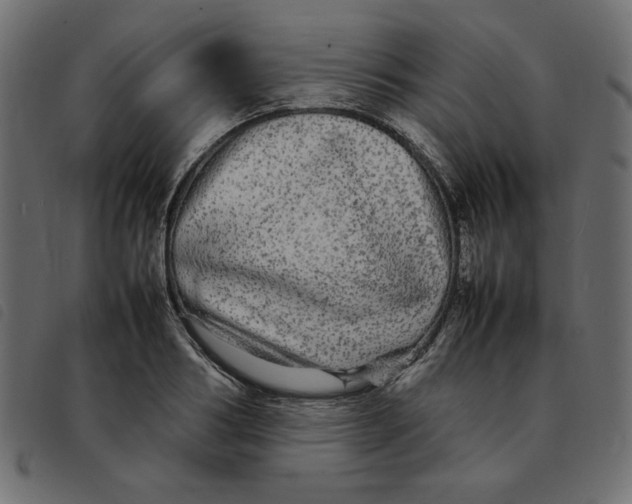 X0000092210986200710121125