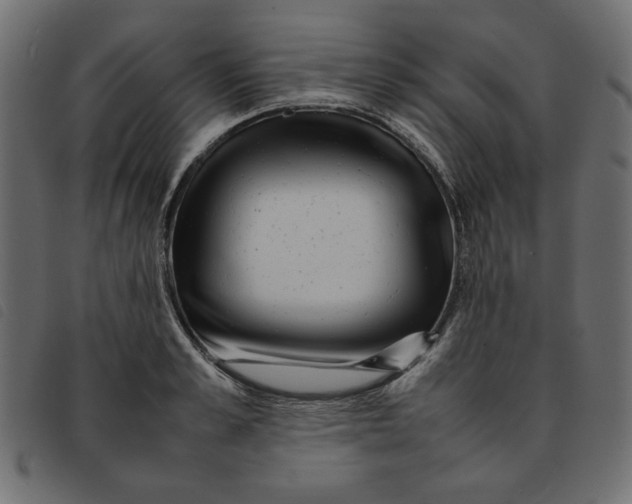 X0000092210989200710121125